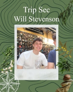 Will