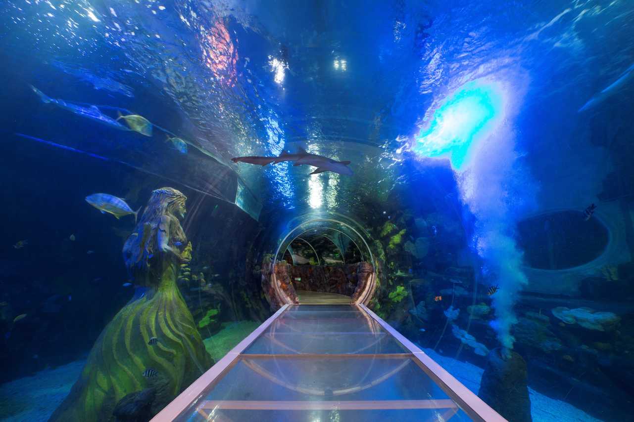 Sea Life Centre Trip